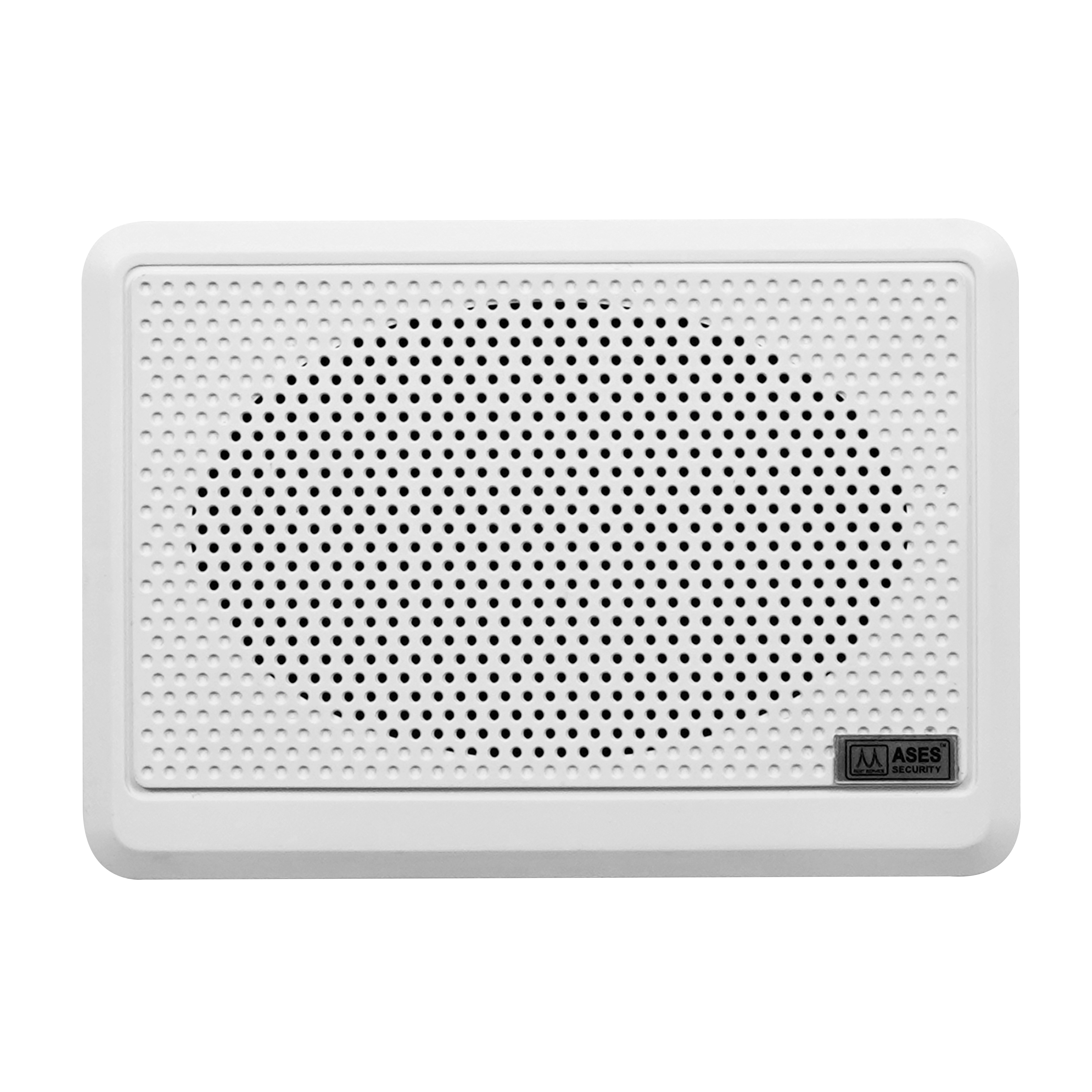 Wall Mount Speaker
